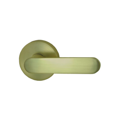 Nidus Spring Passage Lever Satin Brass